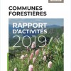 Rapport d'activités 2019