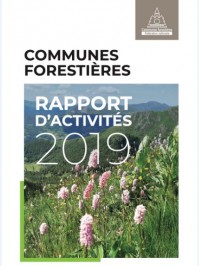 Rapport d'activités 2019