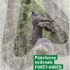 Une plateforme nationale forêt-gibier, un outil indispensable pour la préservation des forêts