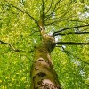 Rencontres nationales des territoires forestiers 2022