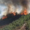 La protection des forêts contre le risque incendie