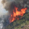 Communiqué de presse : Incendies de forêts : les élus des Communes forestières réaffirment leur rôle incontournable