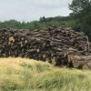 Le Bois énergie en débat au sein du Parlement Européen