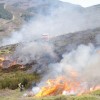 La lutte contre les incendies de forêt