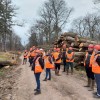 Le débardage par câble en forêts de plaine