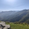 Politiques de massif : des stratégies forêt-filière bois soutenues face au changement climatique.