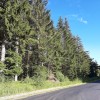 L'assurance des forêts : un nouveau groupe de travail d'élus au sein de la Fédération