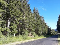 L'assurance des forêts : un nouveau groupe de travail d'élus au sein de la Fédération
